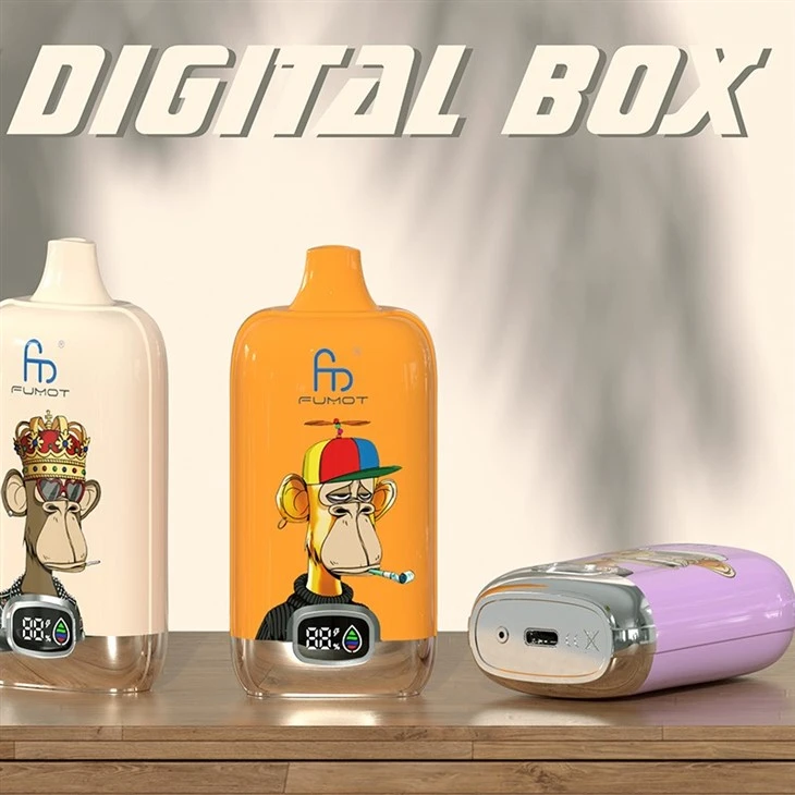 Digitální box RandM 12000