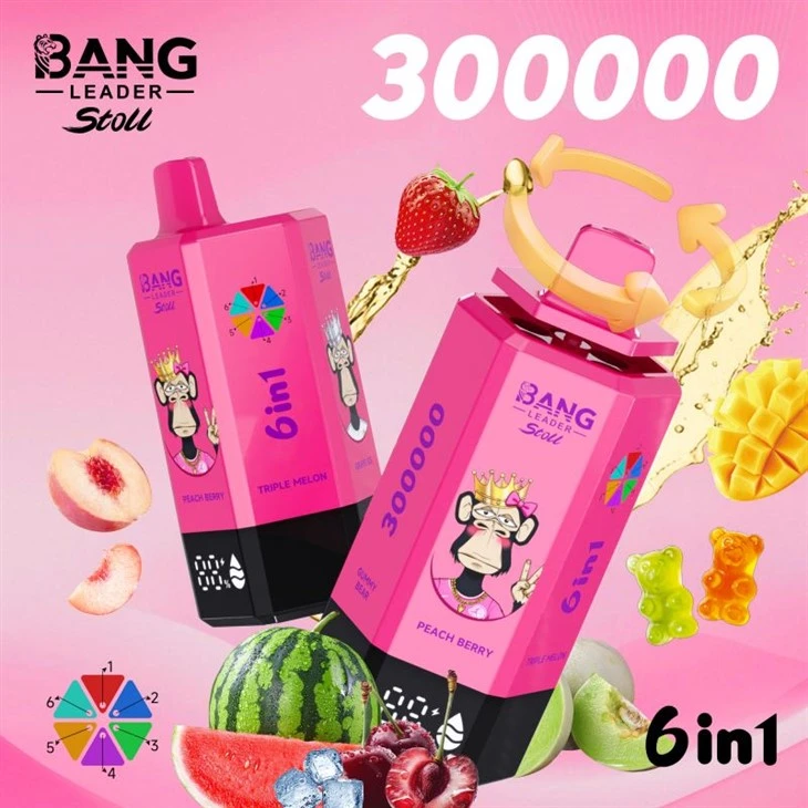 BANG LEADER 300K POTAHŮ