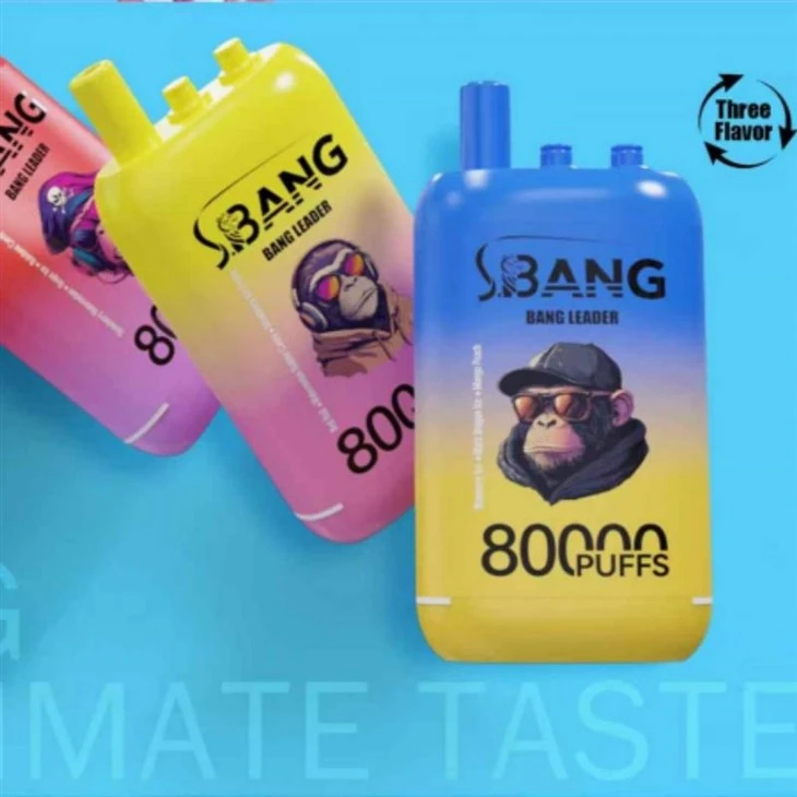 Leader Bang 80000 Puffs