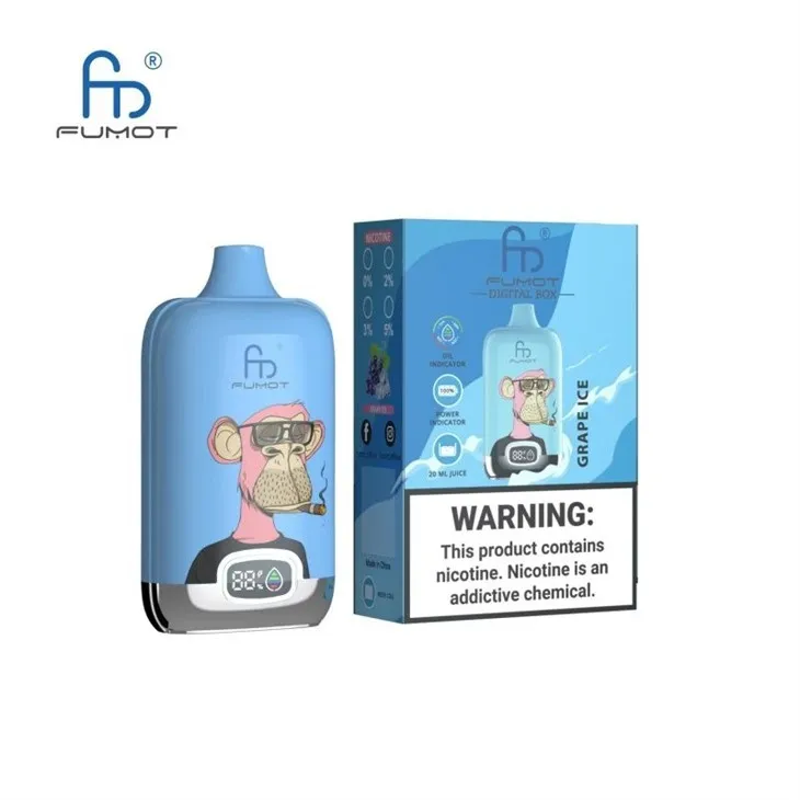 Randm-digital-box-12000-puffs
