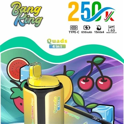 Čtyřkolky BANG KING 250000 4v 1